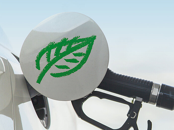 Wieder aufgebaut für die Saison 2019